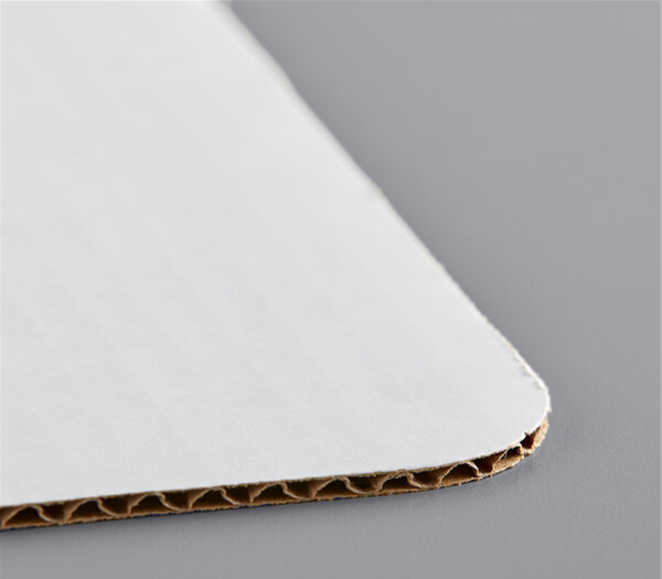 DES CARTON BIZC CORRIENTE RECTANGULAR